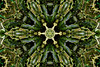 BlueStocking > Kaleidoscopes and Fractals photo