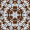 BlueStocking > Kaleidoscopes and Fractals photo