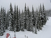 Canada 2007 : 
